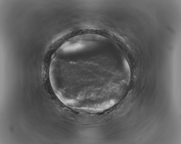 X0000112891303200910021405