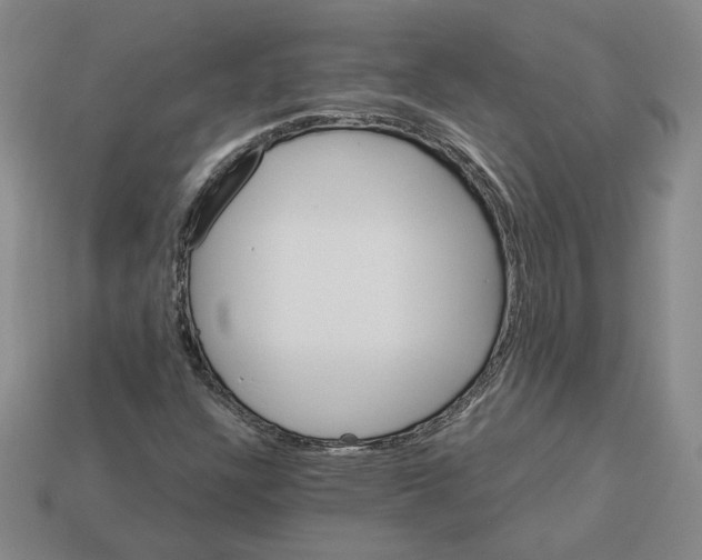 X0000112891304200910021405
