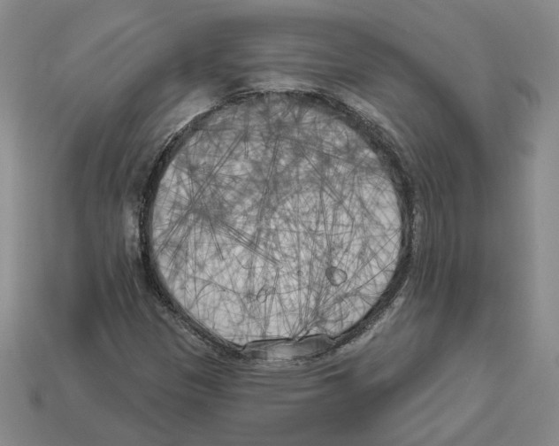 X0000112891305200910021405