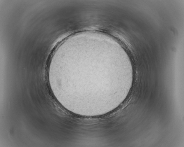 X0000112891308200910021405
