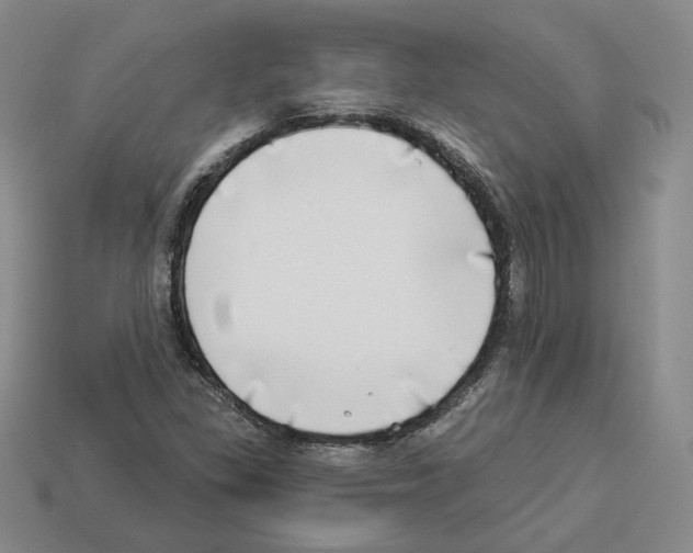 X0000112891309200910021405
