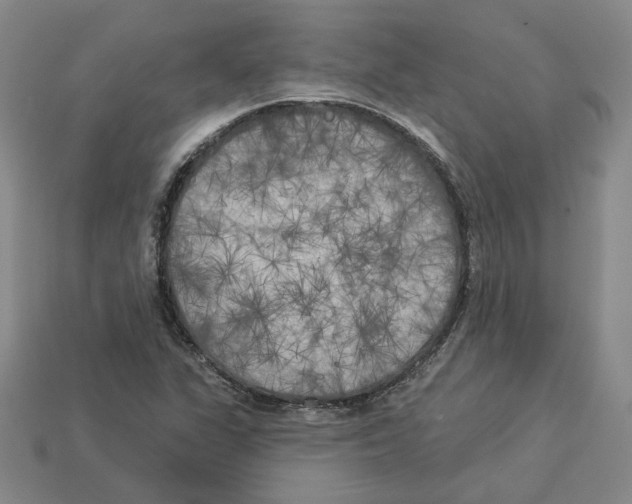 X0000112891311200910021406