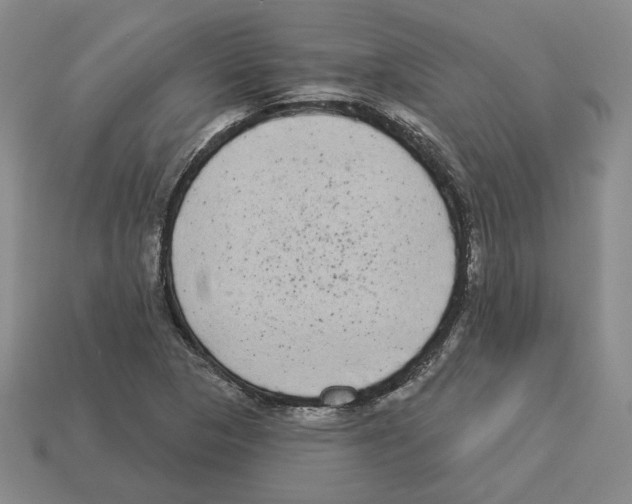 X0000112891313200910021406