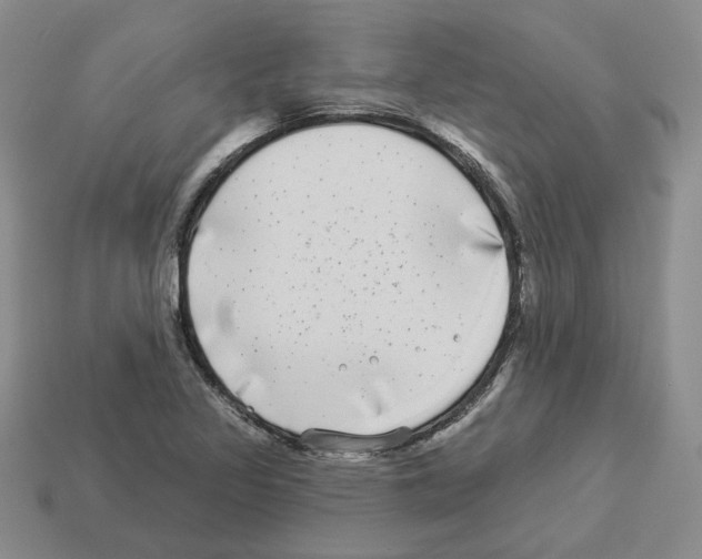 X0000112891317200910021406