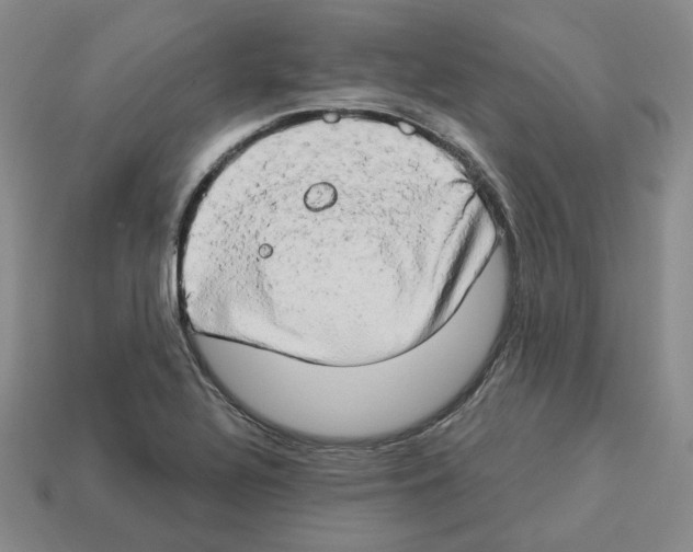 X0000112891320200910021406