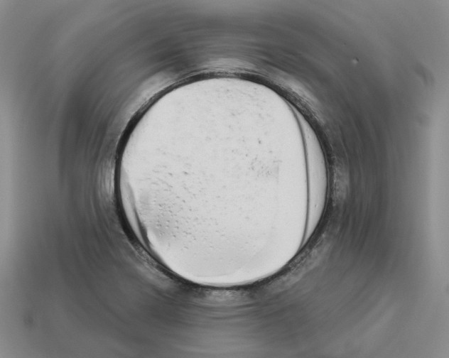 X0000112891322200910021406