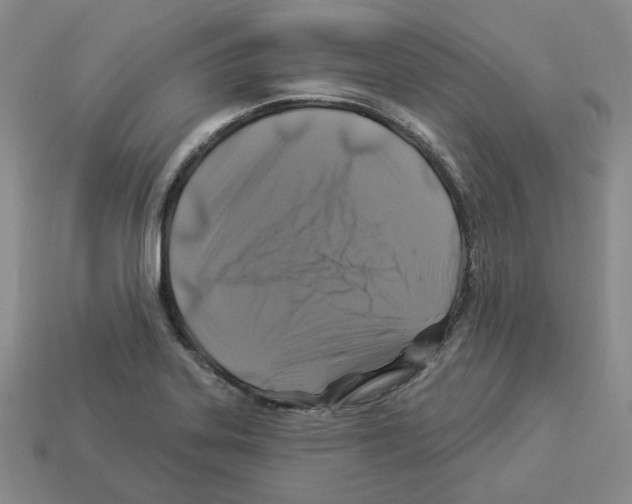 X0000112891323200910021406
