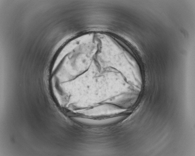 X0000112891325200910021406