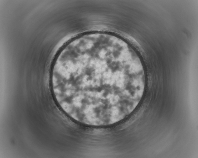 X0000112891326200910021406