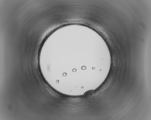 X0000112891328200910021406