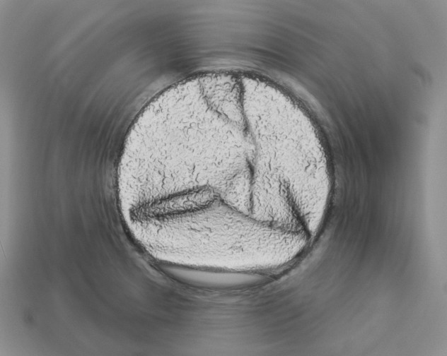 X0000112891329200910021406