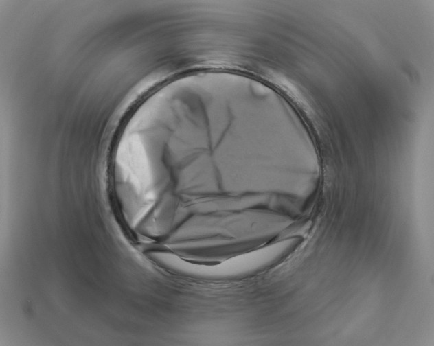 X0000112891331200910021406