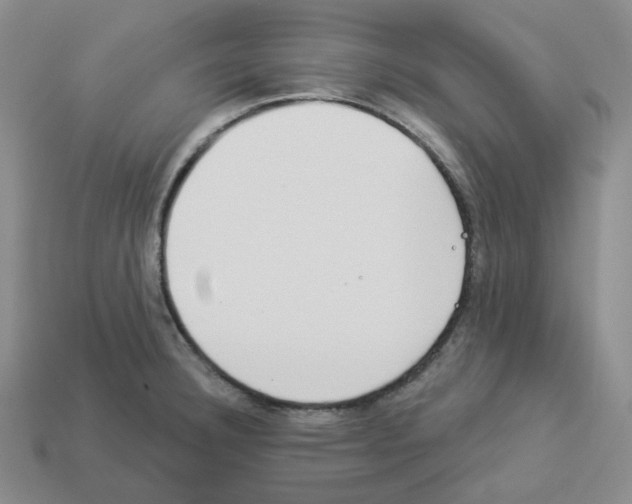 X0000112891332200910021406