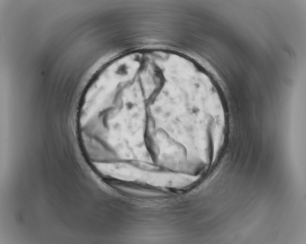 X0000112891333200910021406