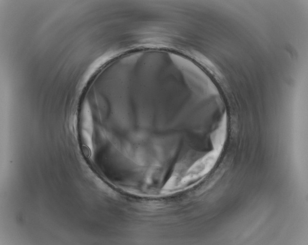 X0000112891334200910021406