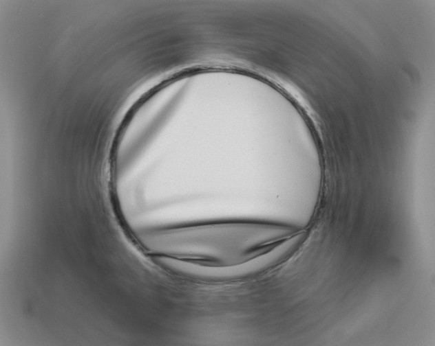 X0000112891335200910021406