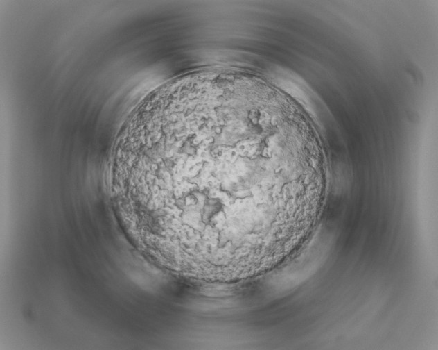 X0000112891338200910021406