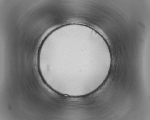 X0000112891339200910021406