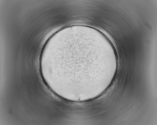 X0000112891341200910021406