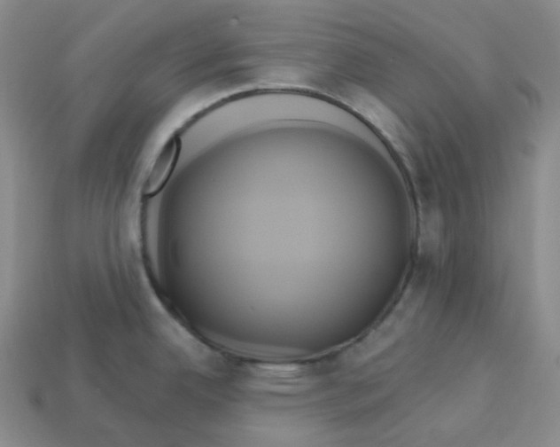 X0000112891342200910021406