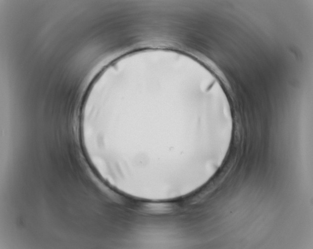 X0000112891343200910021406