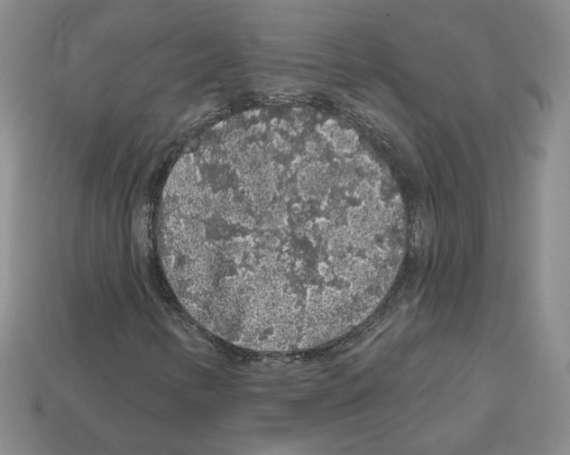 X0000112891346200910021405