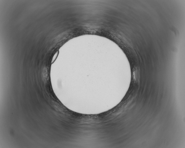 X0000112891347200910021405