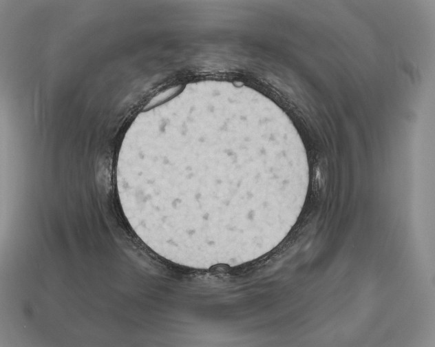 X0000112891348200910021405