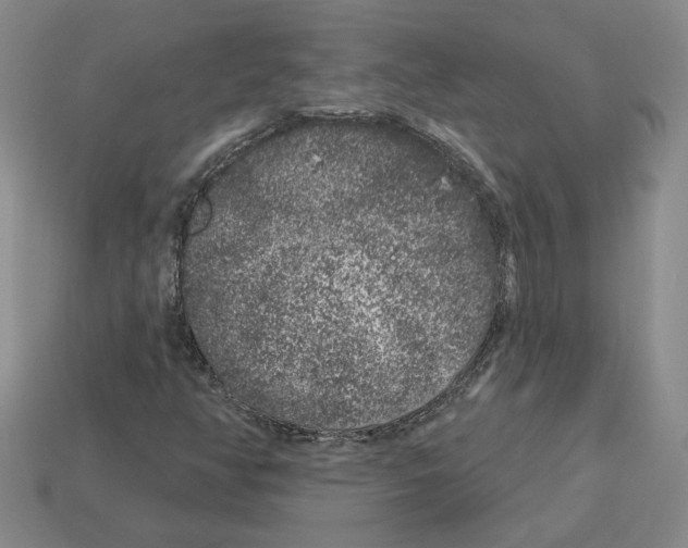 X0000112891350200910021405