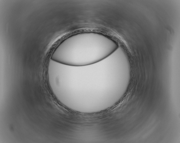 X0000112891352200910021405