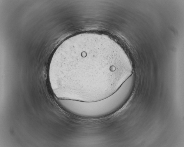 X0000112891353200910021405