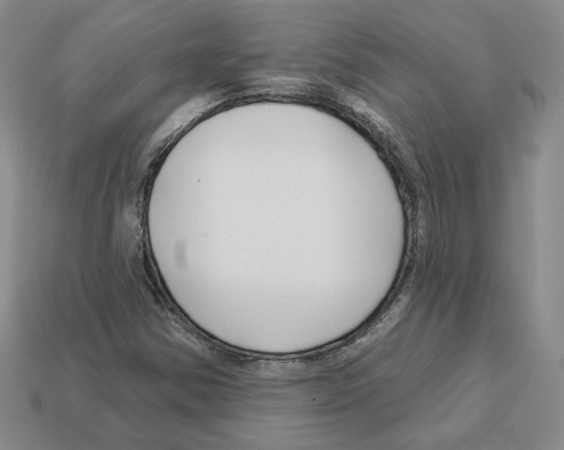 X0000112891354200910021405