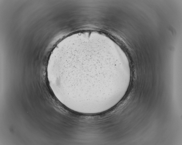 X0000112891355200910021405