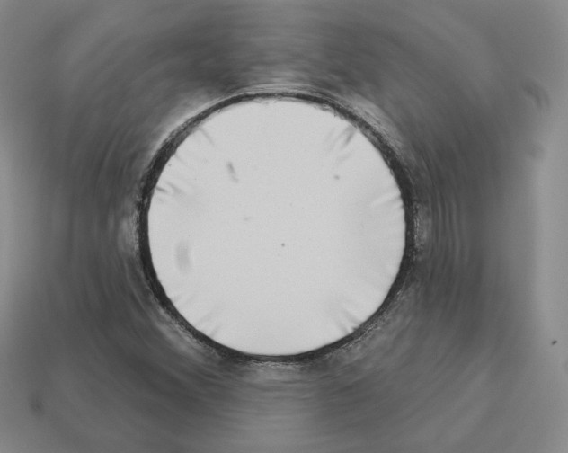 X0000112891356200910021405