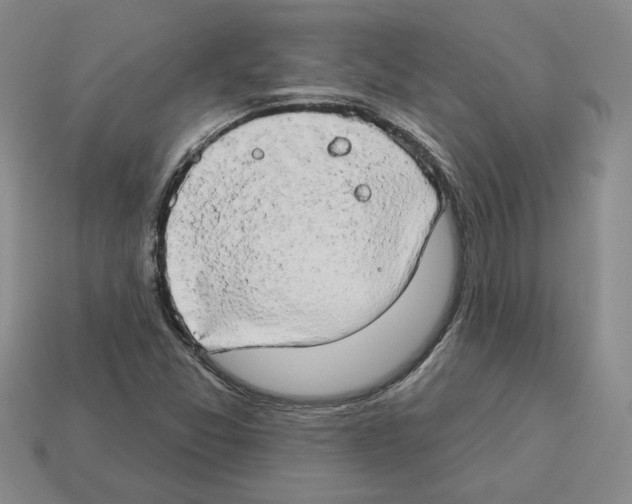 X0000112891357200910021405