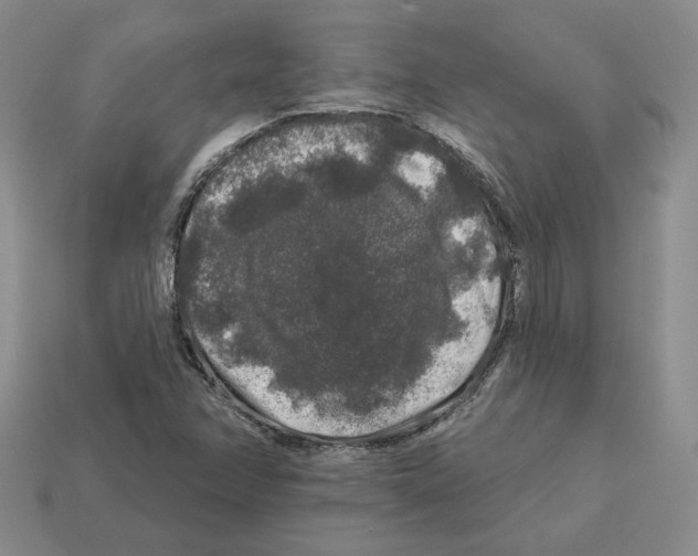 X0000112891358200910021405
