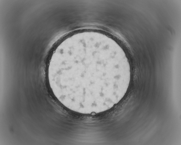 X0000112891360200910021405
