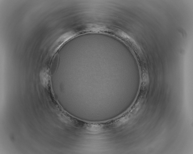 X0000112891361200910021405
