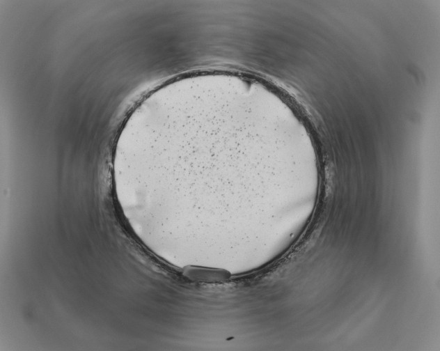 X0000112891363200910021405