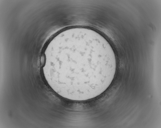 X0000112891364200910021405
