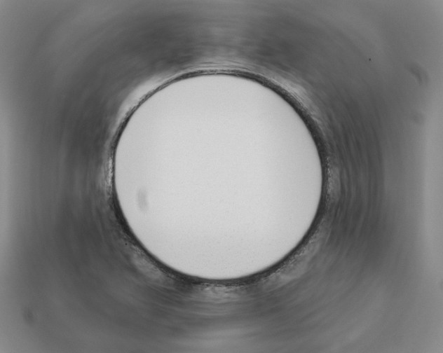 X0000112891366200910021405
