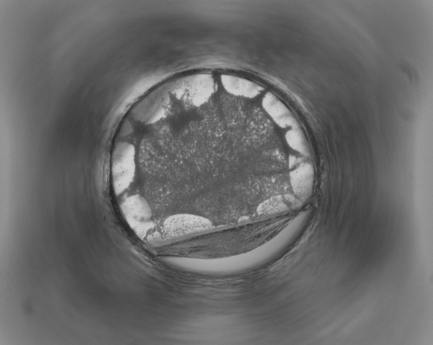 X0000112891367200910021405