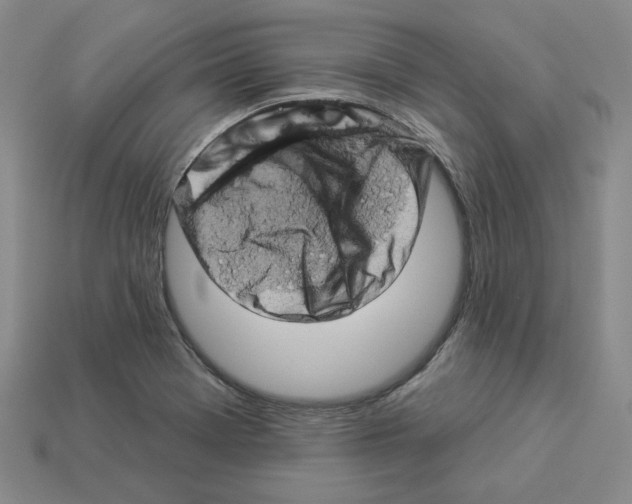X0000112891369200910021405