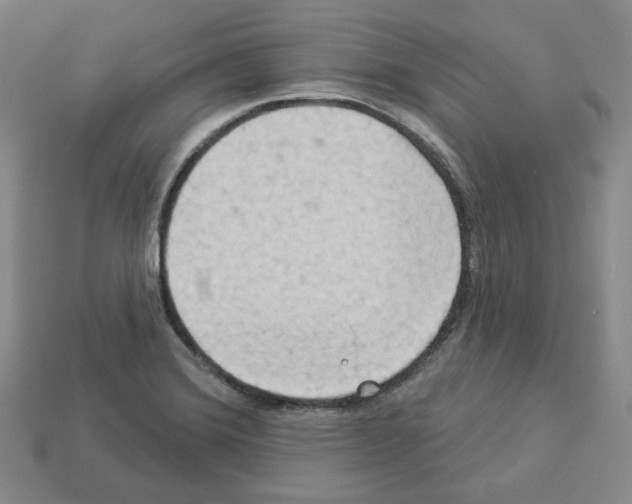 X0000112891372200910021405