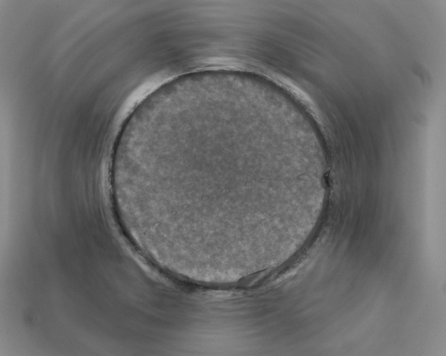 X0000112891373200910021405
