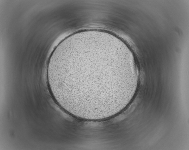 X0000112891374200910021405