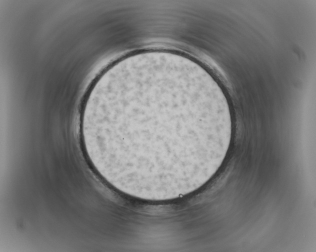 X0000112891376200910021405