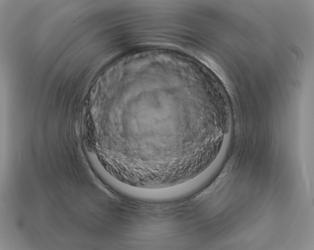 X0000112891377200910021405
