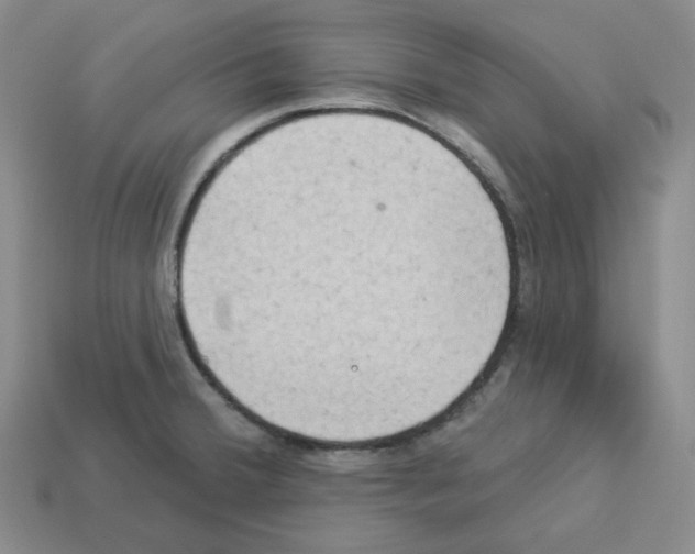X0000112891380200910021405