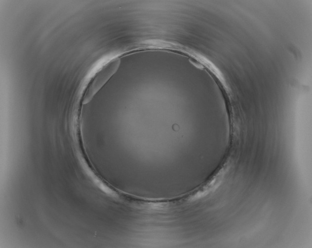 X0000112891381200910021405